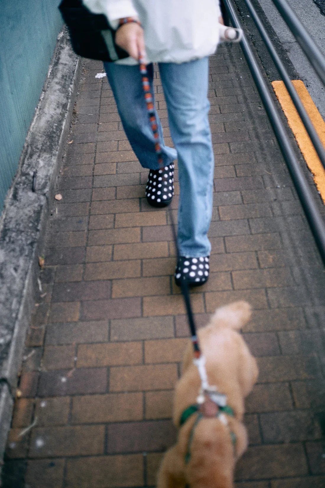 SUBU ORIGINALS F-LINE DOTS / BLACK