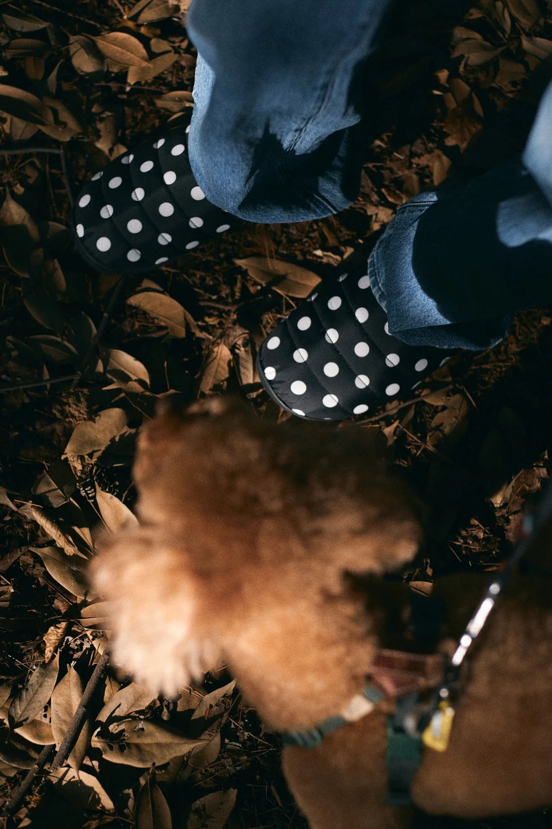 SUBU ORIGINALS F-LINE DOTS / BLACK