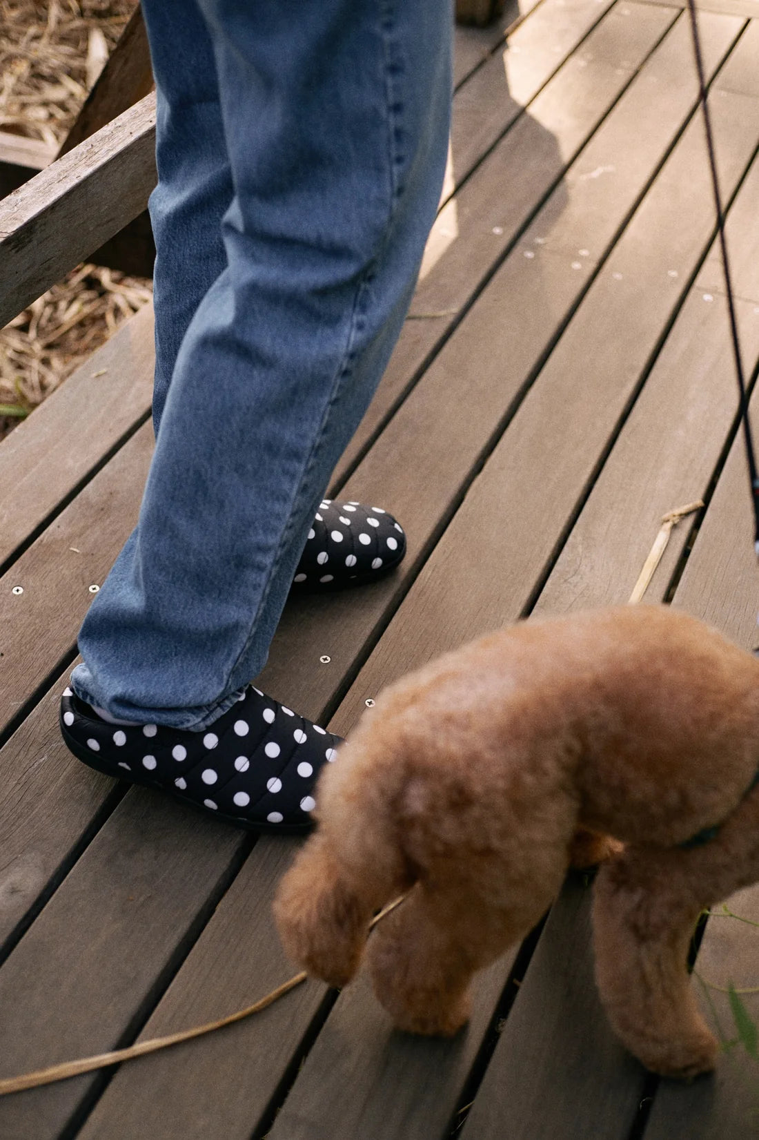 SUBU ORIGINALS F-LINE DOTS / BLACK