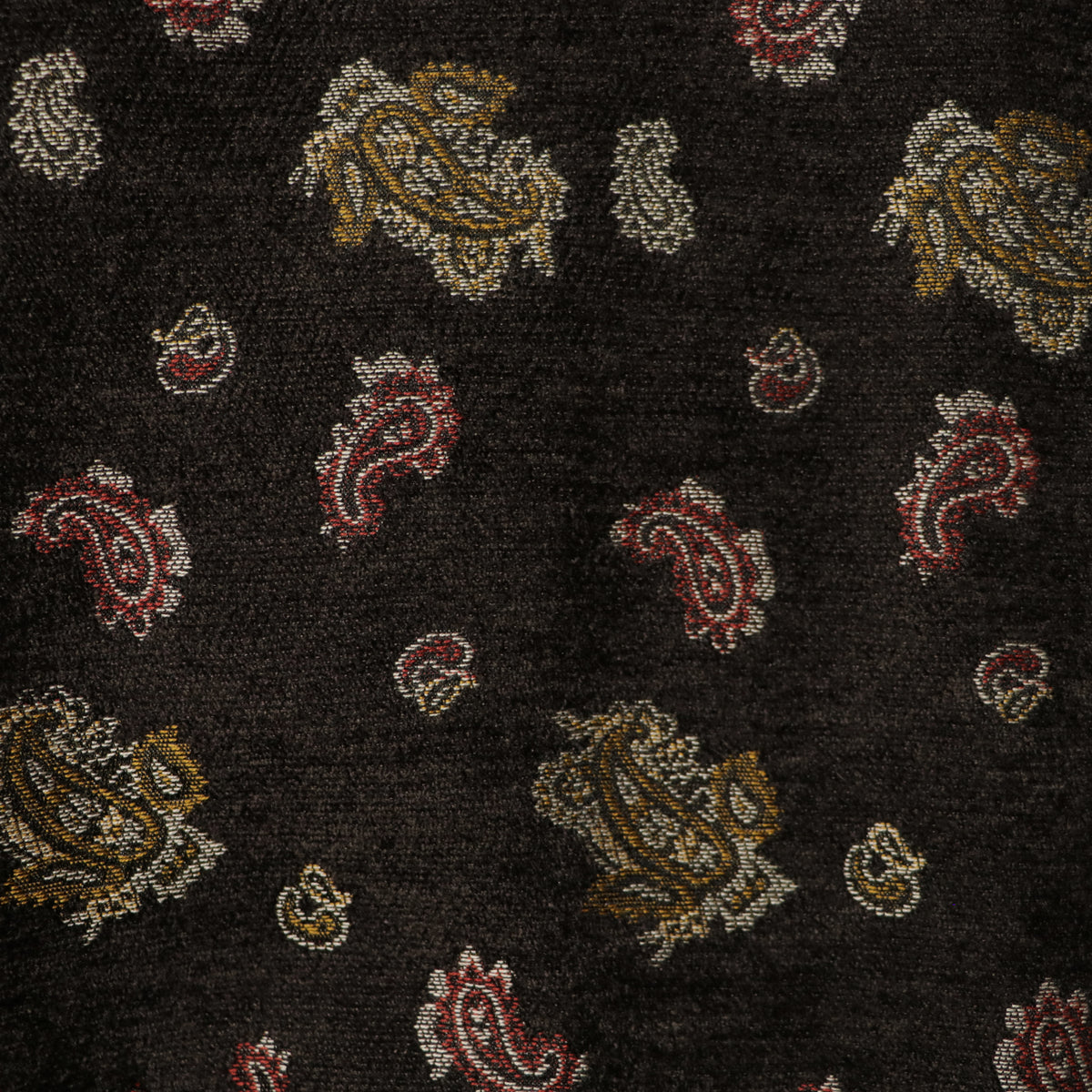 9月中発送予定 superNova. Velvet Jacquard Track Jacket / Brown